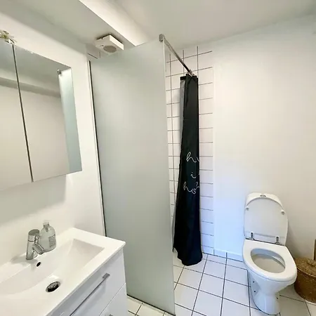 Apartment 5 Minute Walk To Lego House - N18
